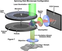 Spinning Disk Confocal